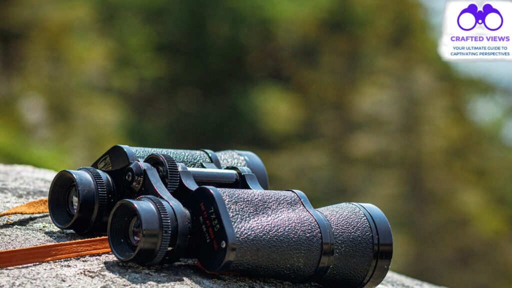 Best Binoculars for Hunting