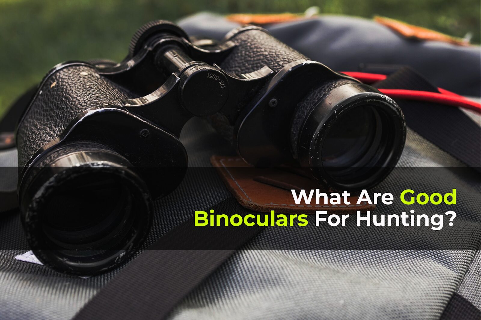 Best Binoculars for Hunting